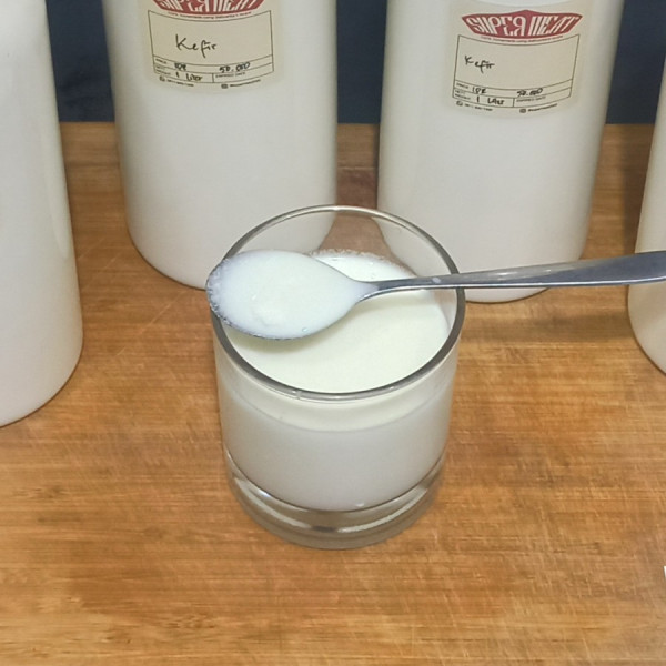 Yoghurt / Kefir - 1 Ltr