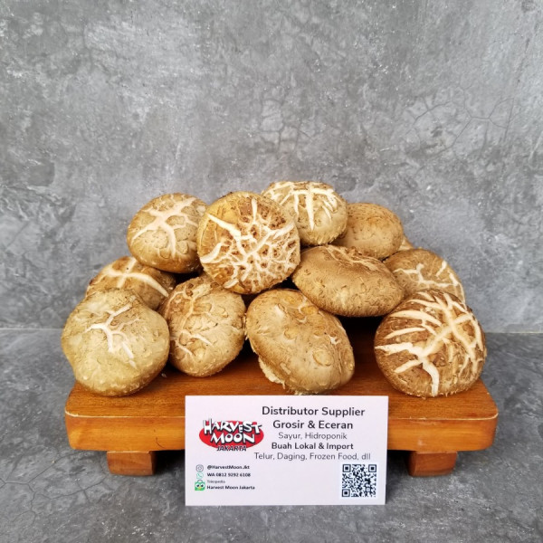 Jamur Shitake Basah