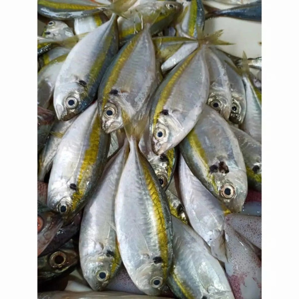 Ikan selar 500gr