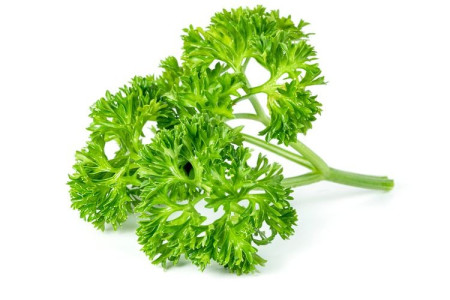 Daun Parsley