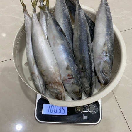Ikan Makarel / Ikan Salem / Ikan Sarden / Ikan Saba Frozen 1Kg