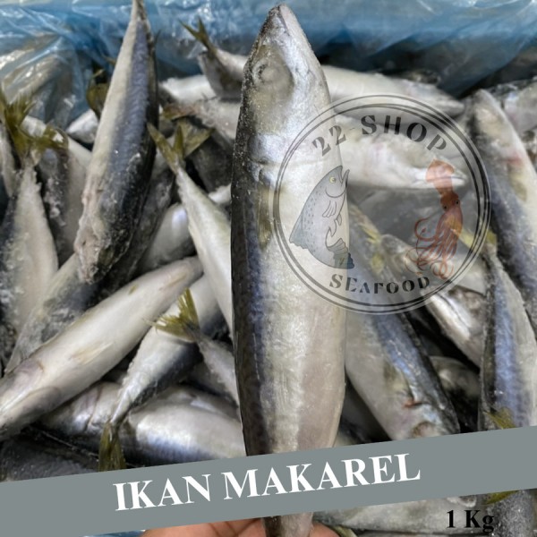 Ikan Makarel / Ikan Salem / Ikan Sarden / Ikan Saba Frozen 1Kg