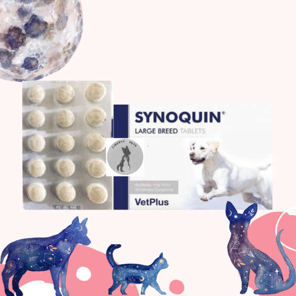 Synoquin Large Breed For Dogs >25kg Suplemen Tulang dan Sendi Anjing (1 Tablet)