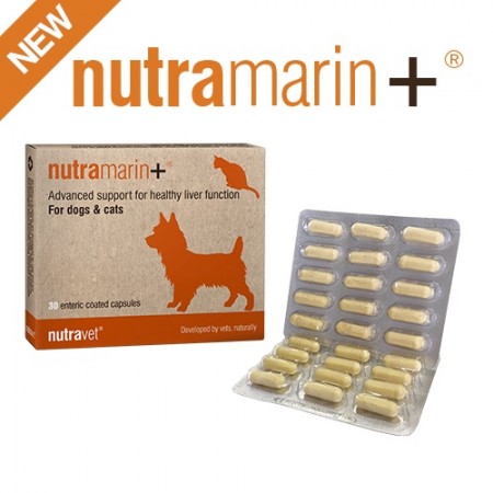 Nutramarin + Obat Gangguan Liver (Hati) untuk Kucing & Anjing / Pengganti Samylin & Zentonil