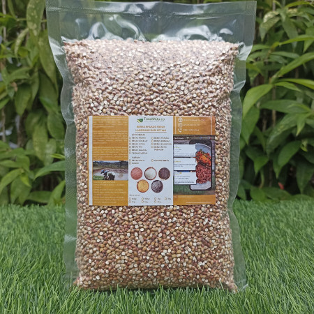 Beras Sorgum Pecah Kulit FRESH langsung dari Petani I Sorghum I 2kg - Sorgum Merah