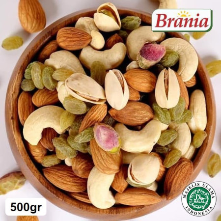 PREMIUM MIX NUTS 500 gr / TRAIL MIX / KACANG MIX / ALMOND CASHEW PISTACHIO