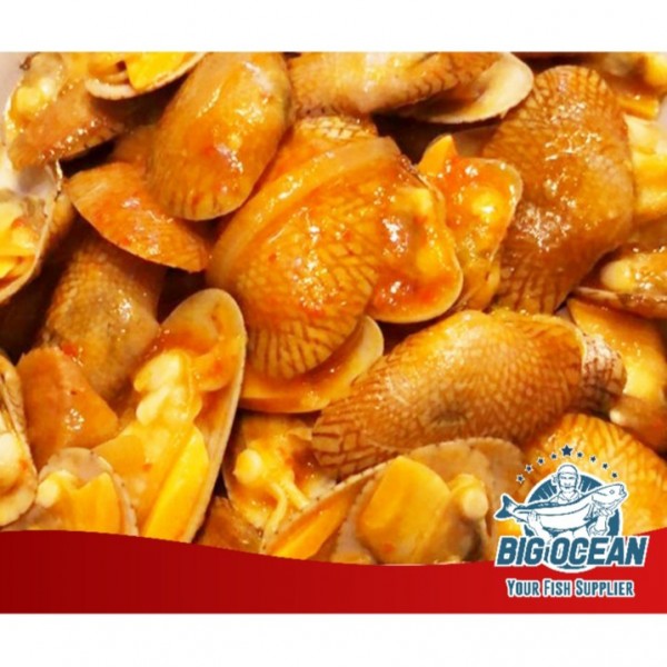 Kerang Batik Besar Frozen Premium Pilihan @1kg