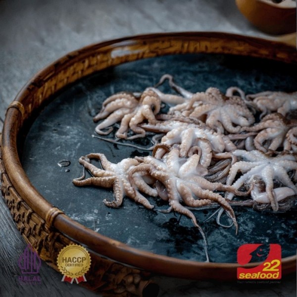 TOP QUALITY / Baby Octopus 500 gram / Gurita Baby / Seafood 22