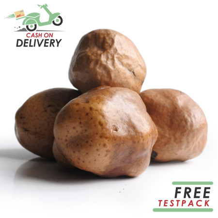 Buah Zuriat Mesir Belah 1 Kg Doum Belah Promil Asli Siap Konsumsi Original