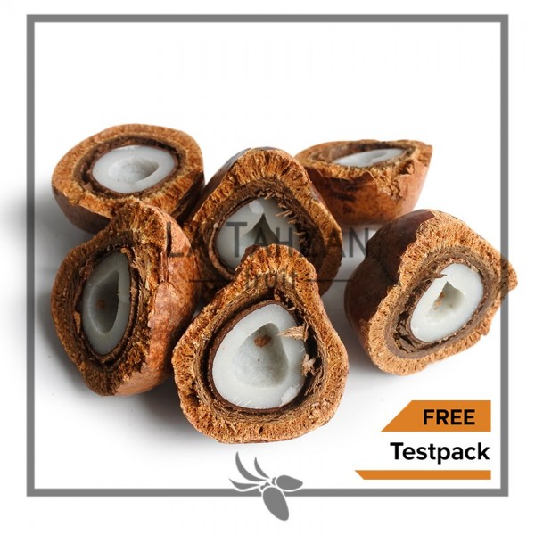 Buah Zuriat Mesir Belah 1 Kg Doum Belah Promil Asli Siap Konsumsi Original