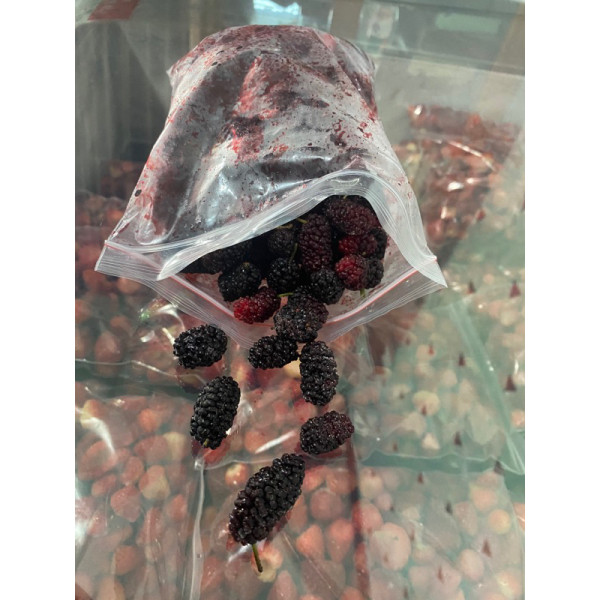 Blackberry Mulberi Mulberry Frozen 500gr