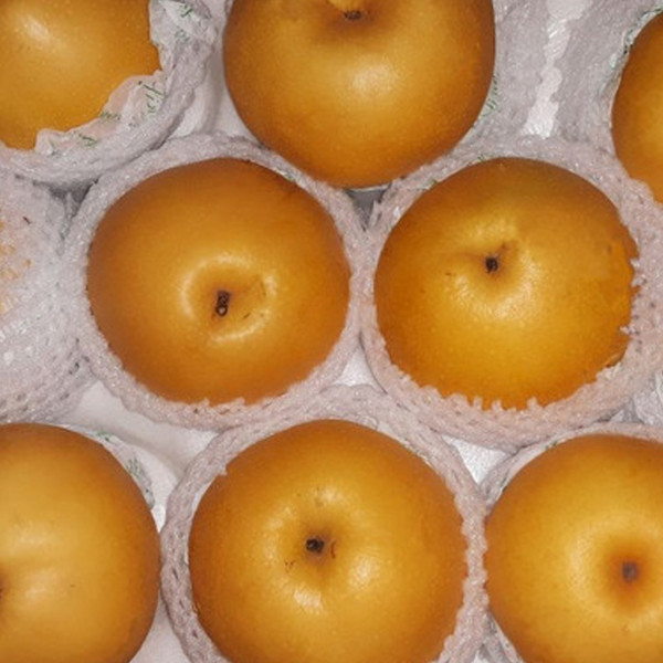 Pear Singo Super (900g-1kg/2-3pcs)